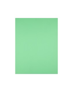 Cartulina liderpapel 50x65 cm 180g/m2 verde hierba paquete de 25 hojas
