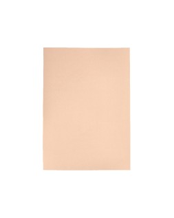 Cartulina liderpapel a4 180g/m2 crema paquete de 25+5 hojas en carpeta dossier transparente con cierre velcro