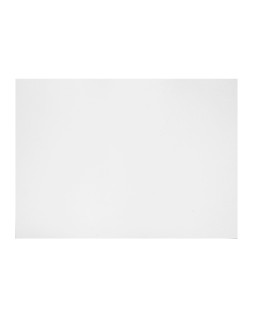 Carton gris nº 12 75x105 cm hoja