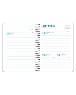 Agenda escolar liderpapel 26-27 espiral cars dia pagina a5 bilingue 80g papel fsc coche azul