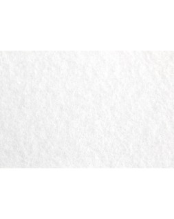 Fieltro liderpapel 50x70cm blanco 160g/m2