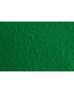 Fieltro liderpapel 50x70cm verde 160g/m2