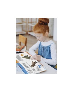 Juego de clasificacion conteo de dinosaurios +3 años