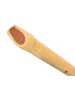 Flauta hohner 9508 color marfil funda verde