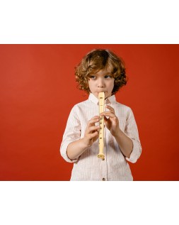 Flauta hohner 9508 color marfil funda verde