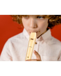 Flauta hohner 9508 color marfil funda verde