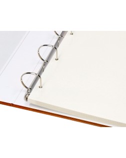 Album de fotos liderpapel anillas serie classic con 20 hojas autoadhesivas color marron