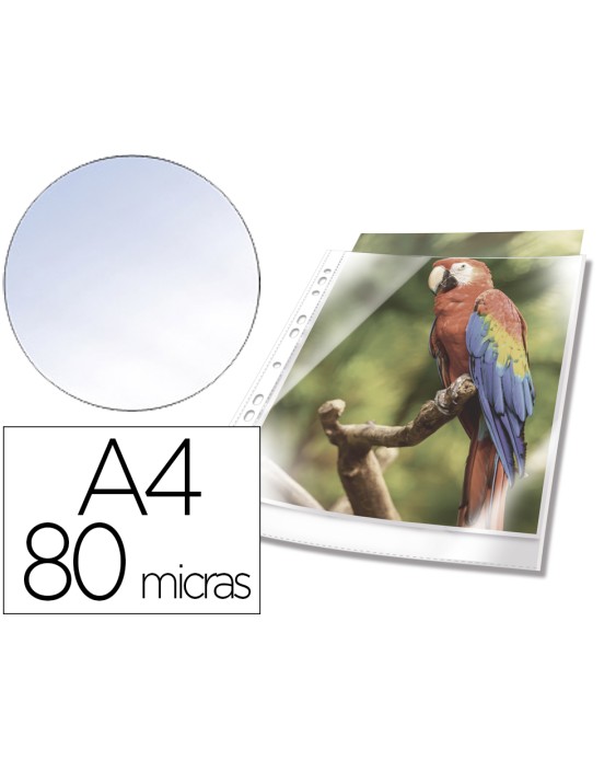 Funda multitaladro durable premium din a4 polipropileno 80 mc cristal con borde color blanco bolsa de 10 unidades