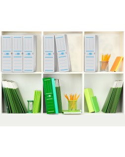 Caja archivo definitivo plastico liderpapel lomo 100 mm blanco 360x100x260 mm