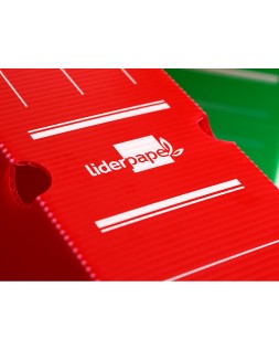 Caja archivo definitivo plastico liderpapel lomo 100 mm rojo 360x100x260 mm