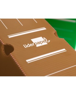 Caja archivo definitivo plastico liderpapel lomo 100 mm marron 360x100x260 mm