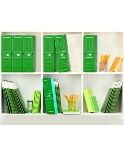 Caja archivo definitivo plastico liderpapel lomo 100 mm verde 360x100x260 mm