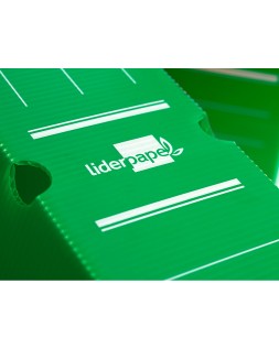 Caja archivo definitivo plastico liderpapel lomo 100 mm verde 360x100x260 mm