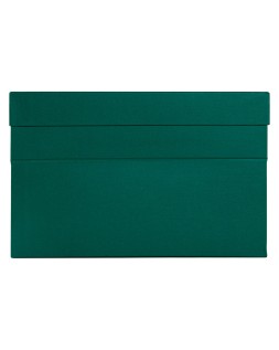 Caja transferencia liderpapel folio lomo 118 mm color verde 390x118x260 mm