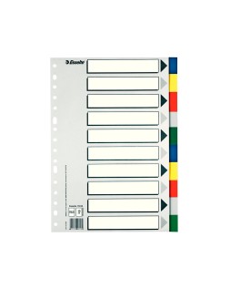 Separador esselte plastico juego de 10 separadores din a4 con 5 colores multitaladro