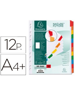 Separador exacompta cartulina juego de 12 separadores din a4+ multitaladro color blanco