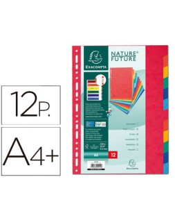 Separador exacompta cartulina simil prespan juego de 12 separadores din a4+ multitaladro colores vivos