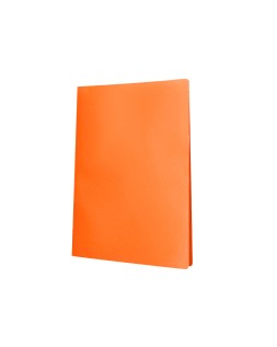 Carpeta liderpapel escaparate 20 fundas polipropileno din a4 naranja fluor opaco