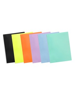 Carpeta liderpapel escaparate 20 fundas polipropileno din a4 naranja fluor opaco