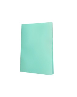 Carpeta liderpapel escaparate 20 fundas polipropileno din a4 verde manzana opaco