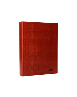 Carpeta de 2 anillas 25mm mixtas liderpapel folio carton cuero forrado compresor plastico
