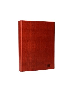 Carpeta de 2 anillas 40mm mixtas liderpapel folio carton cuero forrado compresor plastico