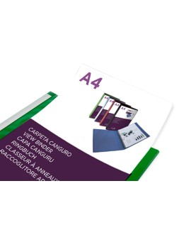 Carpeta liderpapel canguro 2 anillas 25 mm mixtas polipropileno din a4 verde translucido