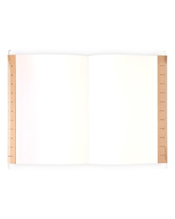 Carpeta colgante liderpapel folio prolongado kraft
