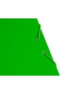 Carpeta liderpapel gomas tres solapas carton plastificado folio color verde