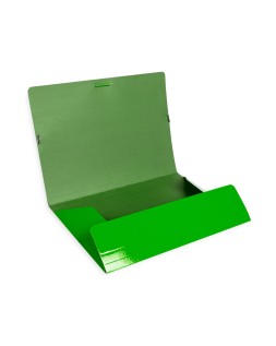 Carpeta liderpapel gomas tres solapas carton plastificado folio color verde