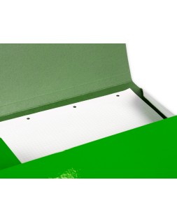 Carpeta liderpapel gomas tres solapas carton plastificado folio color verde