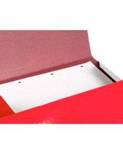 Carpeta liderpapel gomas tres solapas carton plastificado 800 gr din a3 colores surtidos