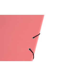 Carpeta antartik clasificadora a4 12 departamentos gomas carton forrado color coral