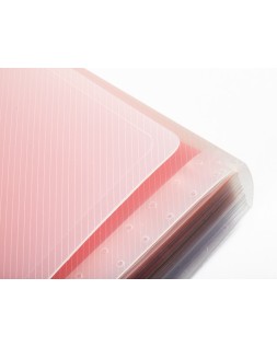 Carpeta liderpapel clasificador fuelle polipropileno din a5 spectrafile