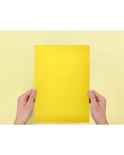 Subcarpeta liderpapel folio amarillo intenso 180g/m2