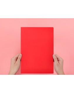Subcarpeta liderpapel folio rojo intenso 180g/m2