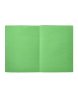 Subcarpeta liderpapel folio verde intenso 180g/m2