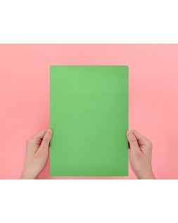 Subcarpeta liderpapel folio verde intenso 180g/m2