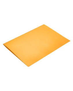 Subcarpeta liderpapel folio naranja intenso 180g/m2