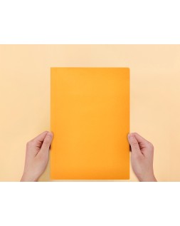 Subcarpeta liderpapel folio naranja intenso 180g/m2