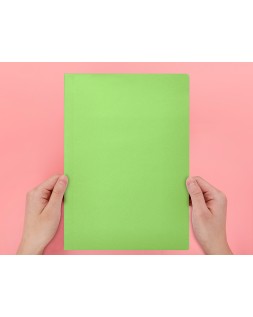 Subcarpeta liderpapel din a4 verde intenso 180g/m2