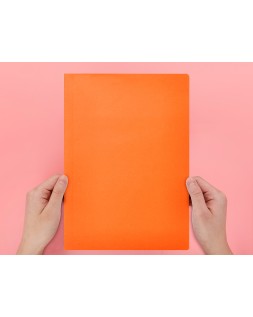 Subcarpeta liderpapel a4 naranja intenso 180g/m2