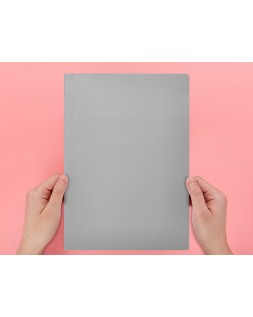 Subcarpeta liderpapel a4 gris 180g/m2