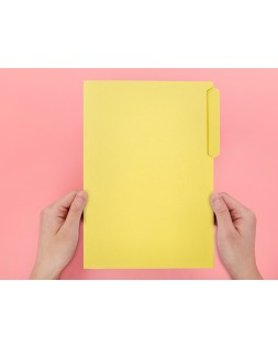 Subcarpeta cartulina liderpapel folio pestaña izquierda 240g/m2 amarillo