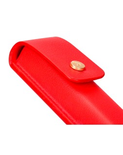 Pluma y estuche cuero belius passion dor aluminio textura cepillada color rojo y dorado tinta azul caja de diseño