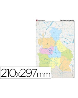 Mapa mudo color din a4 castilla-leon politico