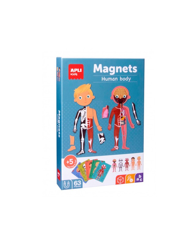Juego apli didactico magnetico el cuerpo humano