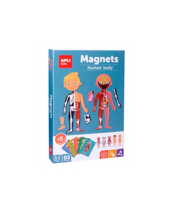 Juego apli didactico magnetico el cuerpo humano