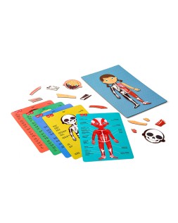 Juego apli didactico magnetico el cuerpo humano