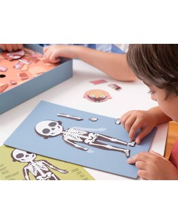 Juego apli didactico magnetico el cuerpo humano